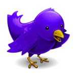 Twitter Twitter